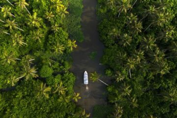 Boot in den Backwaters