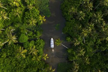 Boot in den Backwaters