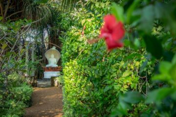 Hiru Om Ayurveda Resort: Ruhe, Strand & tropischer Garten – Bild 44