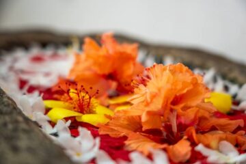 Hiru Om Ayurveda Resort: Ruhe, Strand & tropischer Garten – Bild 41