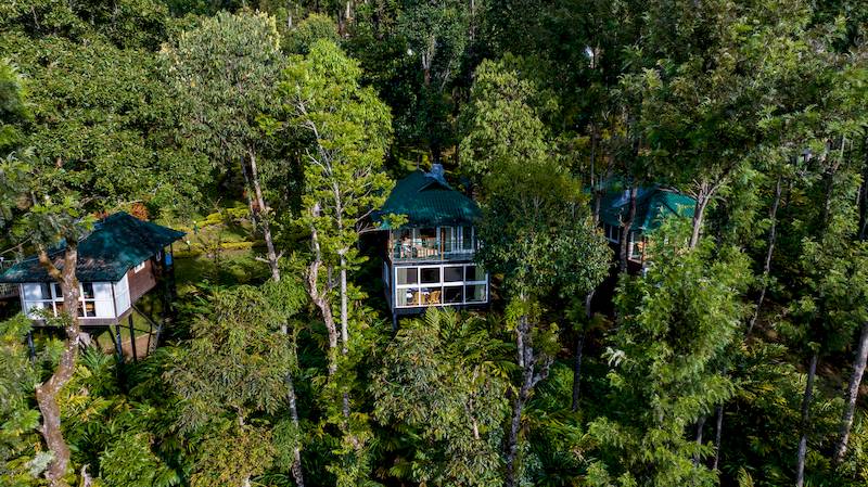 Drei kleine moderne Häuser in einem Wald