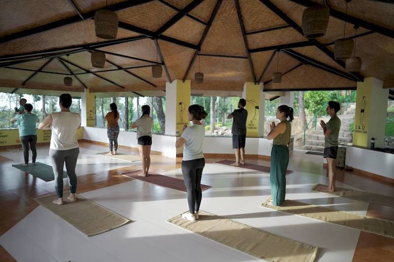 Helles, luftiges Yoga-Studio mit einer Gruppe von Menschen, die auf Yogamatten verschiedene Asanas praktizieren.