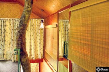 Innerhalb einer kleinen Hütte die um einen Baumstamm herum gebaut wurde.