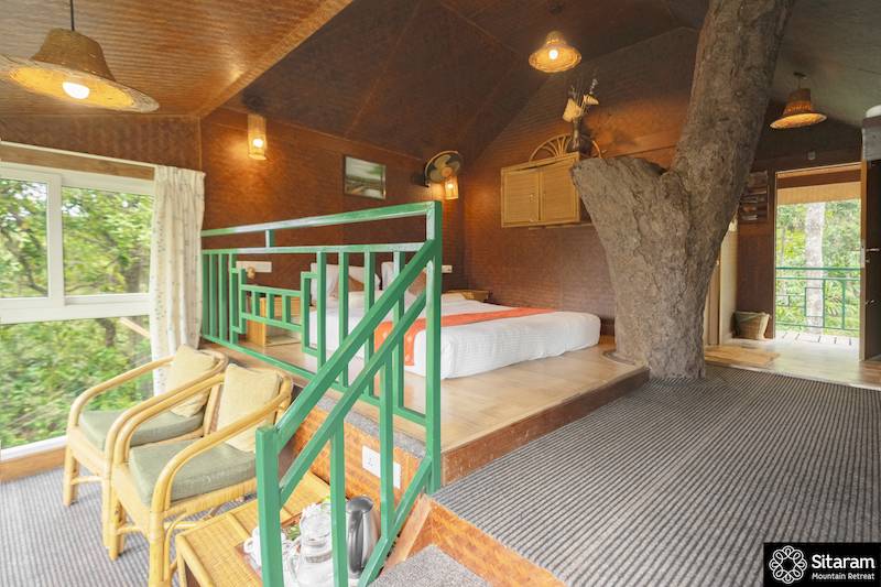 Helles Studio mit Doppelbett, das um einen Holzstamm herum gebaut wurde.