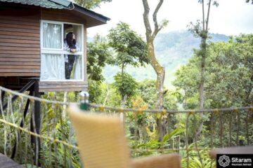 Frau blickt aus einer kleinen Hütte in einen Wald in Indien