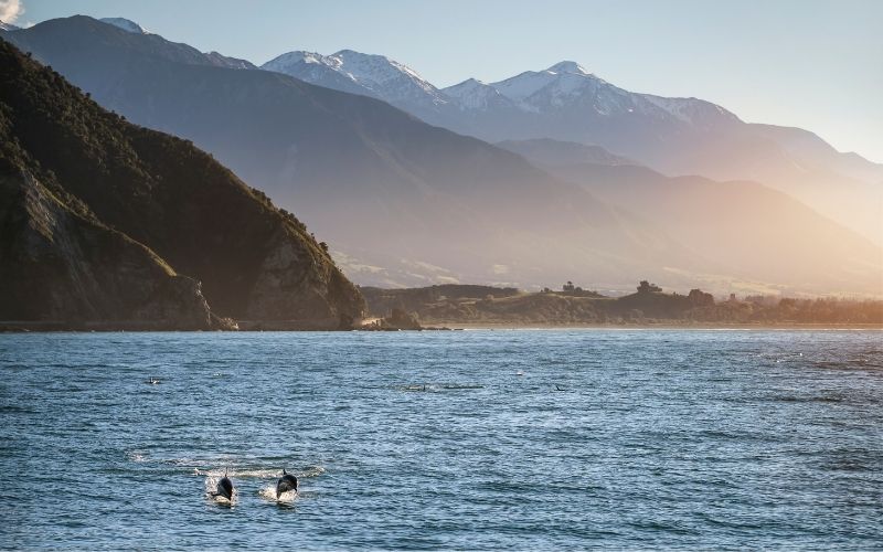 Rundreise zu den Kraftorten der Südinsel Neuseelands – Bild 12