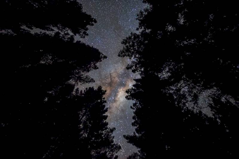 Kleingruppenreise: Fjorde und Vulkane - 3 Wochen Natur-Highlights Neuseelands – Bild 30