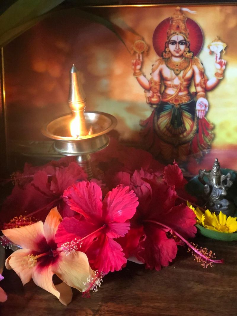 Anaamaya: Idyllisches Ayurveda-Resort am See