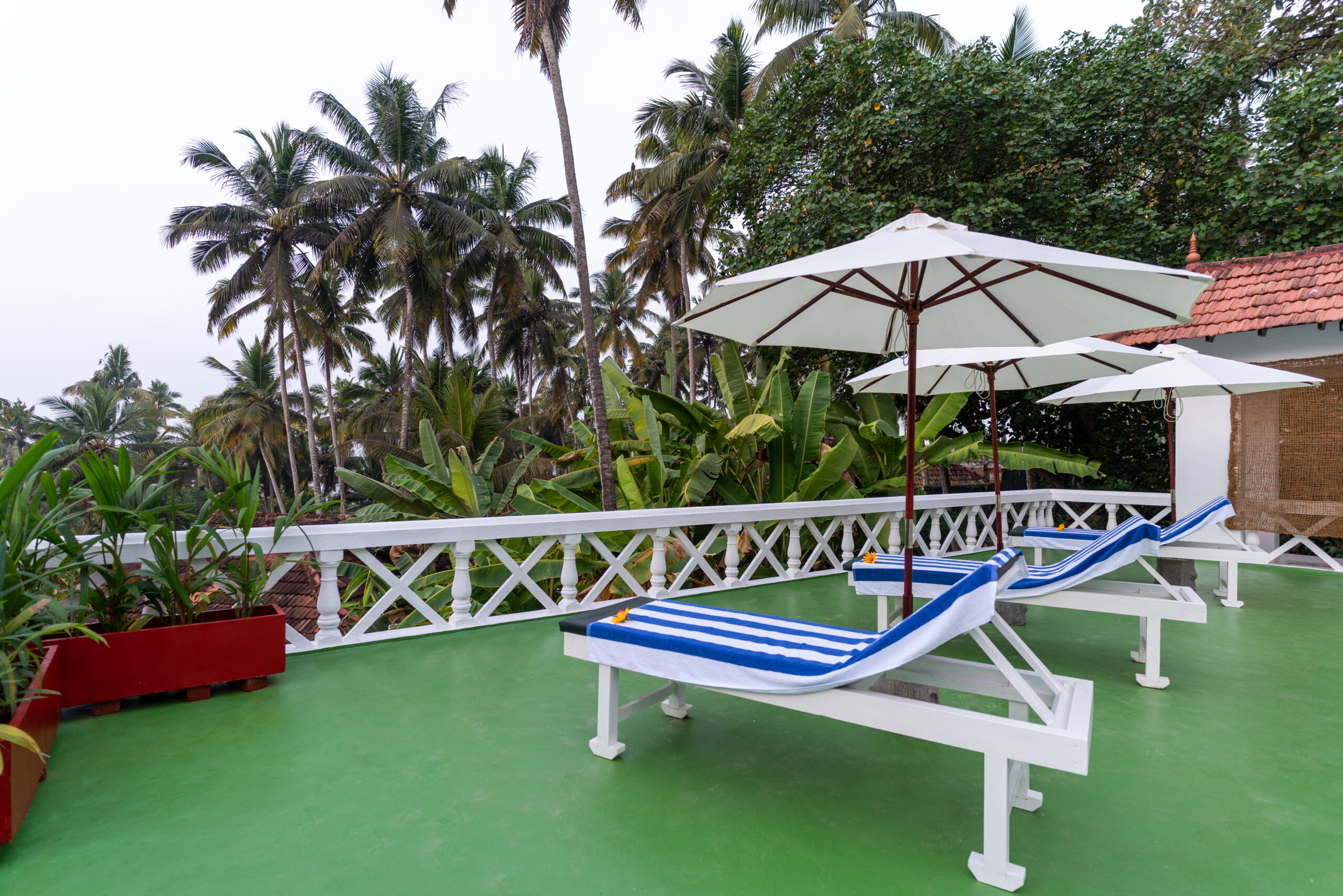 Nikki’s Nest: Ayurveda-Kur unter Palmen am Meer – Bild 79