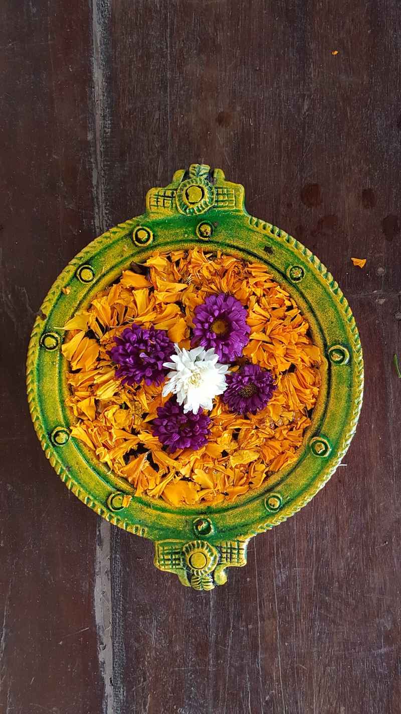 Anaamaya: Idyllisches Ayurveda-Resort am See