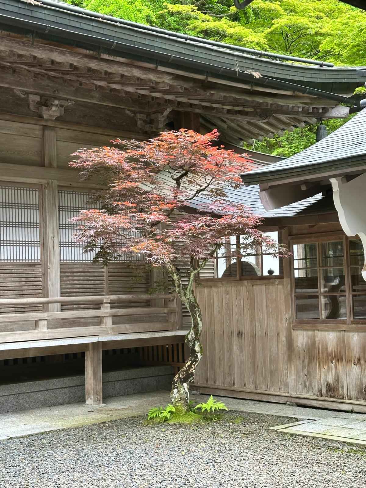 Japan in Ruhe erleben: Kleingruppen-Rundreise mit Wabi-Sabi-Flair – Bild 17