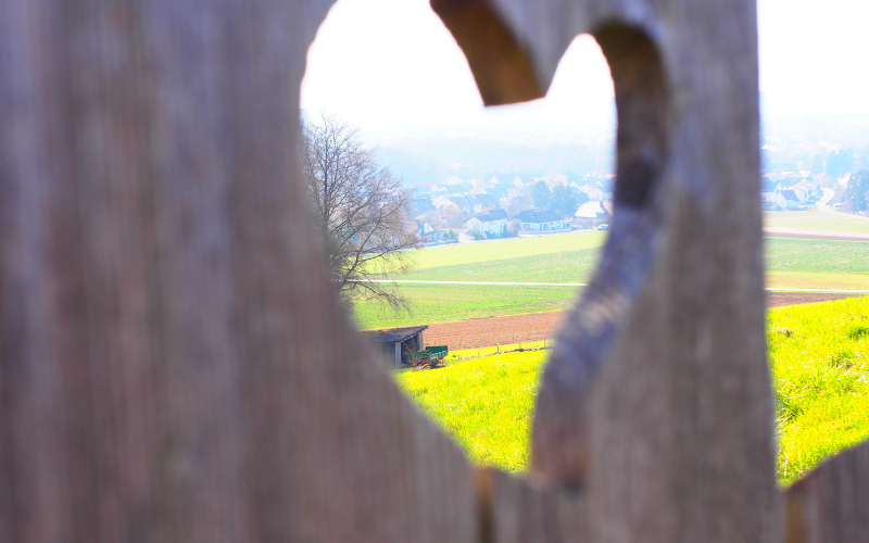 Entspanntes Achtsamkeitswochenende im Bayerischen Jura – MBSR, sanftes Yoga, Wanderung mit Waldbaden ♥ Jetzt buchen!