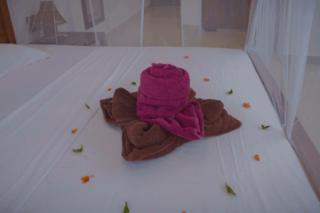 Lage an einer geschützten Halbinsel (ideal zum Schwimmen) – 5 Ayurveda-Behandlungen pro Tag – bei Hatha & Kundalini Yoga entspannen – Meditation mit einem buddhistischen Mönch – ein Stille-Tag pro Woche – gepflegter Garten & Pool