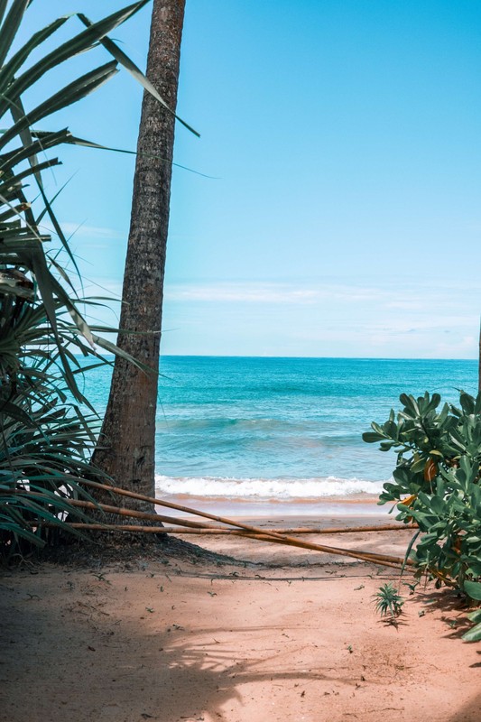 Ayurveda-Auszeit & Panchakarma-Kur in ruhiger Oase am Strand – Bild 37