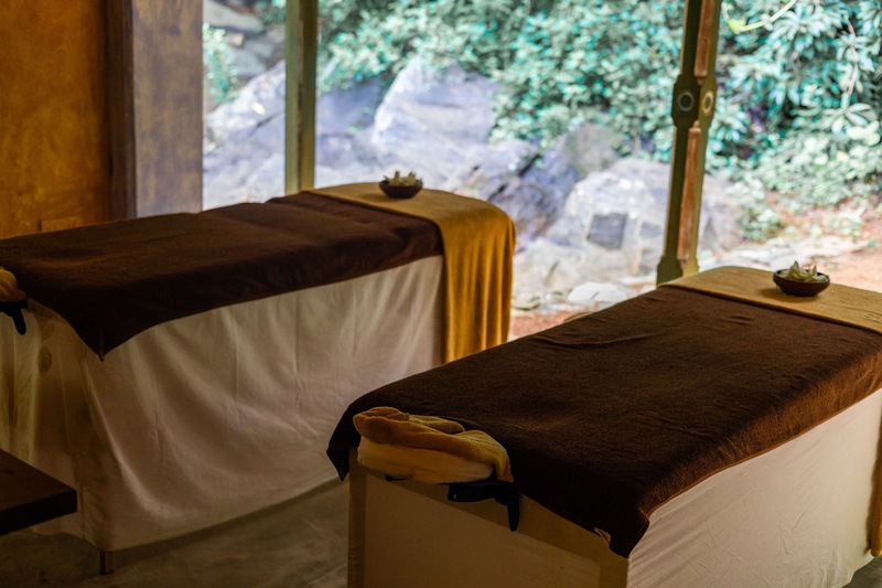 Ayurveda-Auszeit & Panchakarma-Kur in ruhiger Oase am Strand – Bild 35