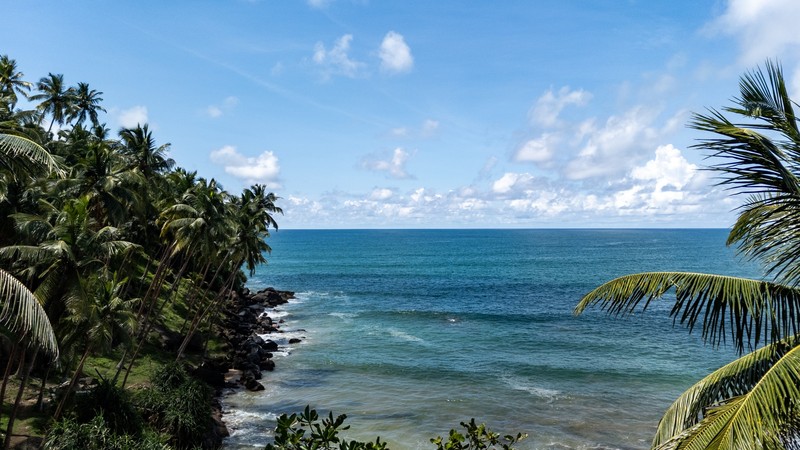 Ayurveda-Auszeit & Panchakarma-Kur in ruhiger Oase am Strand – Bild 16
