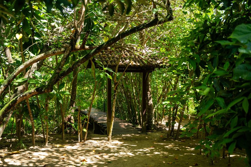 Ayurveda-Auszeit & Panchakarma-Kur in ruhiger Oase am Strand – Bild 22