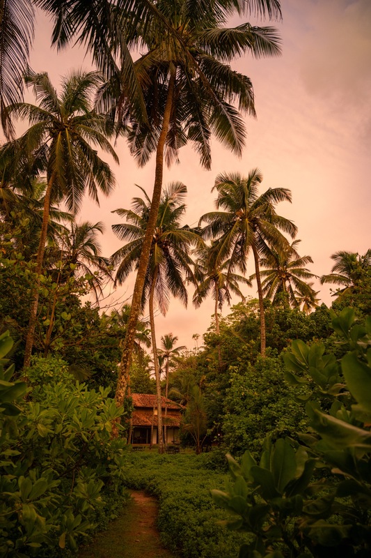 Ayurveda-Auszeit & Panchakarma-Kur in ruhiger Oase am Strand – Bild 11