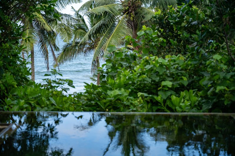 Ayurveda-Auszeit & Panchakarma-Kur in ruhiger Oase am Strand – Bild 53