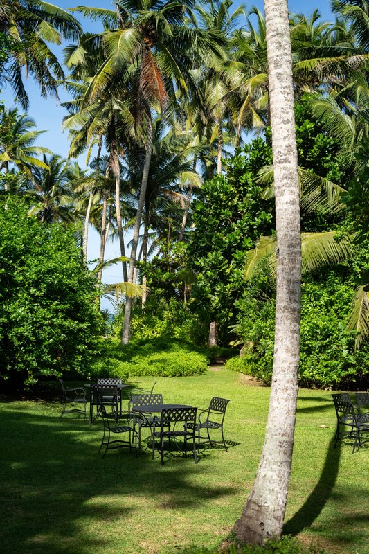 Ayurveda-Auszeit & Panchakarma-Kur in ruhiger Oase am Strand – Bild 18