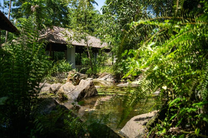 Ayurveda-Auszeit & Panchakarma-Kur in ruhiger Oase am Strand – Bild 68