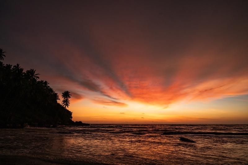 Ayurveda-Auszeit & Panchakarma-Kur in ruhiger Oase am Strand – Bild 58