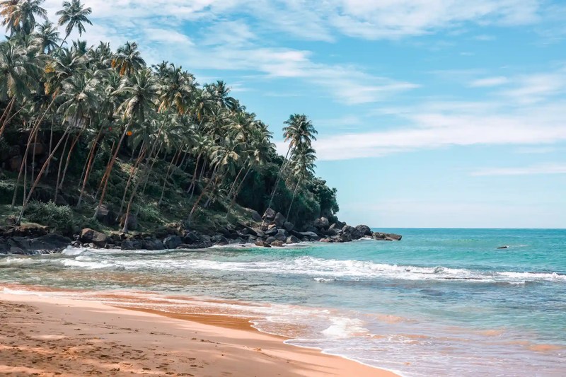 Ayurveda-Auszeit & Panchakarma-Kur in ruhiger Oase am Strand – Bild 65
