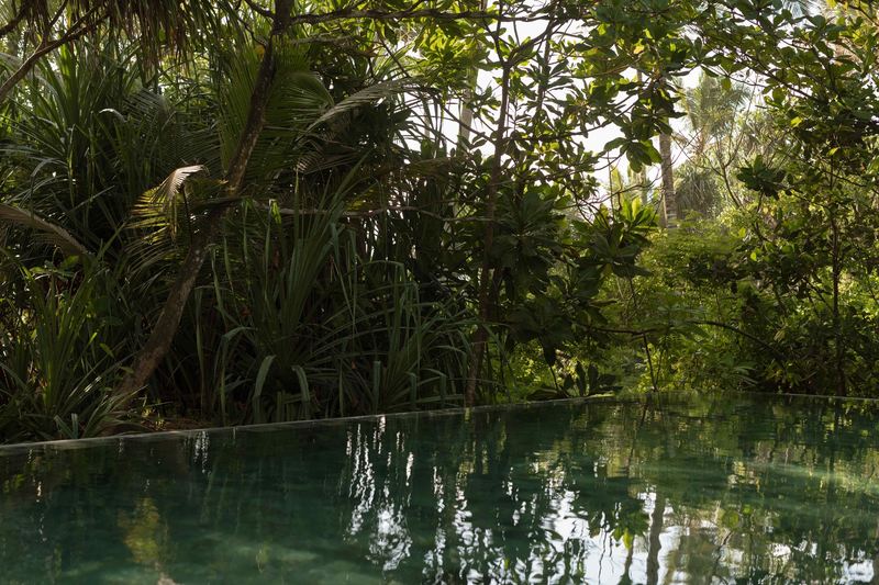 Ayurveda-Auszeit & Panchakarma-Kur in ruhiger Oase am Strand – Bild 77