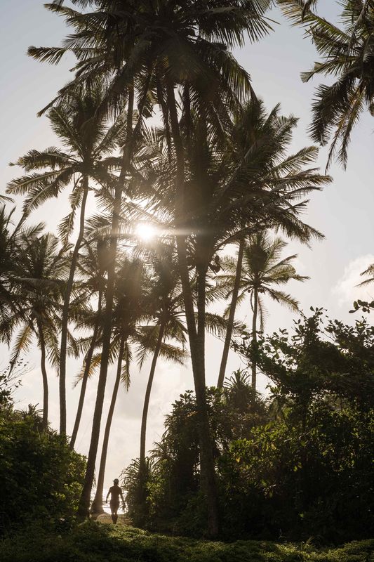 Ayurveda-Auszeit & Panchakarma-Kur in ruhiger Oase am Strand – Bild 67