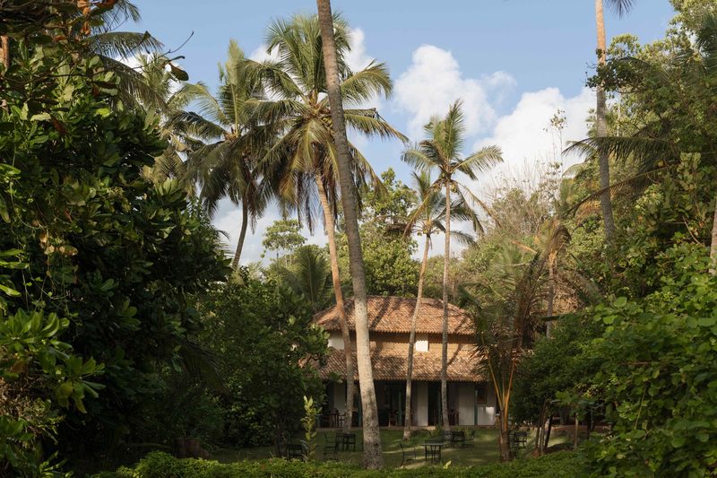 Ayurveda-Auszeit & Panchakarma-Kur in ruhiger Oase am Strand – Bild 31