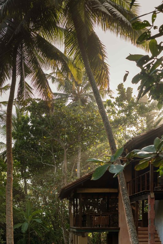 Ayurveda-Auszeit & Panchakarma-Kur in ruhiger Oase am Strand – Bild 12